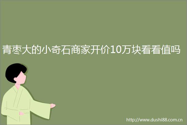 青枣大的小奇石商家开价10万块看看值吗