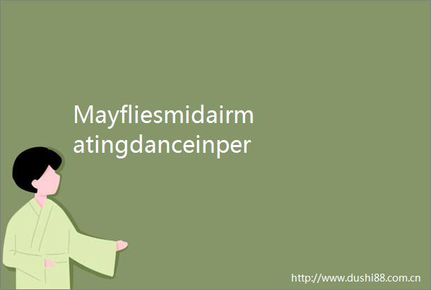Mayfliesmidairmatingdanceinperilastemperaturesrise