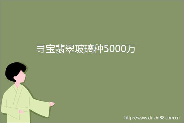 寻宝翡翠玻璃种5000万