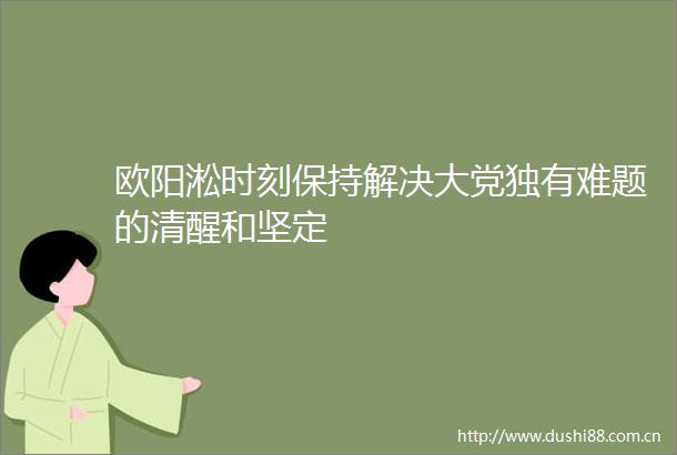 欧阳淞时刻保持解决大党独有难题的清醒和坚定