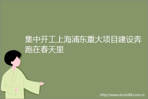 集中开工上海浦东重大项目建设奔跑在春天里