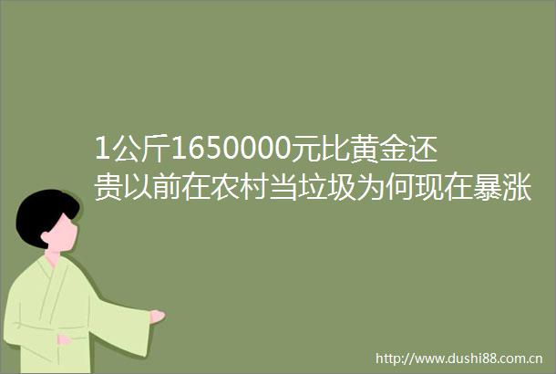 1公斤1650000元比黄金还贵以前在农村当垃圾为何现在暴涨