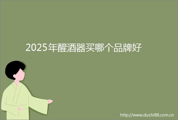 2025年醒酒器买哪个品牌好