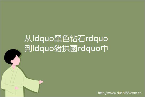 从ldquo黑色钻石rdquo到ldquo猪拱菌rdquo人凭啥能把松露拉下神坛