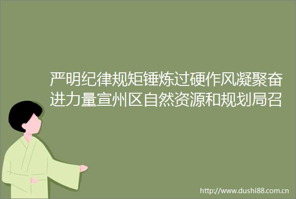 严明纪律规矩锤炼过硬作风凝聚奋进力量宣州区自然资源和规划局召开新提拔年轻关键岗位学习教育集体座谈会
