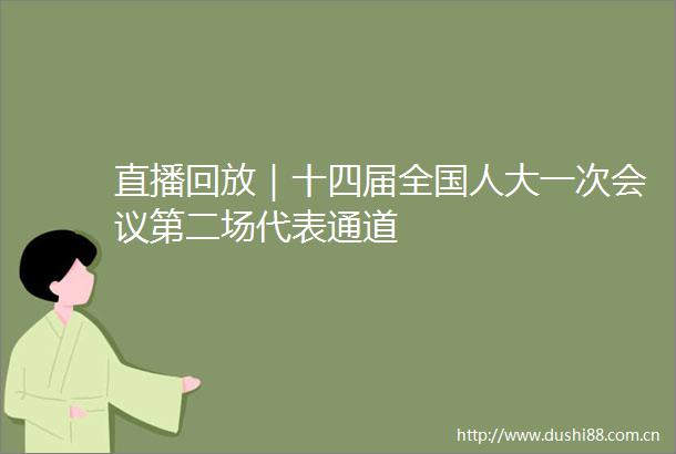 直播回放｜十四届全国人大一次会议第二场代表通道