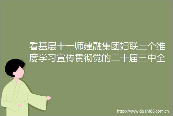 看基层十一师建融集团妇联三个维度学习宣传贯彻党的二十届三中全会精神