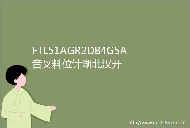 FTL51AGR2DB4G5A音叉料位计湖北汉开