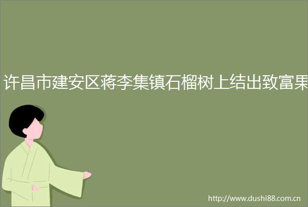 许昌市建安区蒋李集镇石榴树上结出致富果