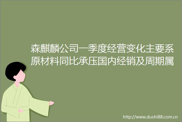 森麒麟公司一季度经营变化主要系原材料同比承压国内经销及周期属性较强的全钢胎产品销售承压所致