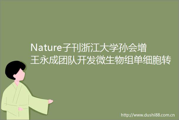 Nature子刊浙江大学孙会增王永成团队开发微生物组单细胞转录组学技术
