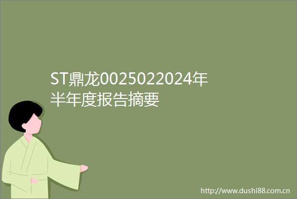 ST鼎龙0025022024年半年度报告摘要
