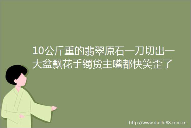 10公斤重的翡翠原石一刀切出一大盆飘花手镯货主嘴都快笑歪了