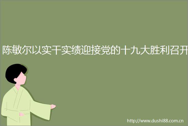 陈敏尔以实干实绩迎接党的十九大胜利召开