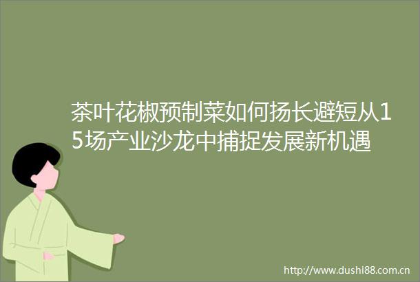 茶叶花椒预制菜如何扬长避短从15场产业沙龙中捕捉发展新机遇