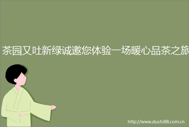 茶园又吐新绿诚邀您体验一场暖心品茶之旅