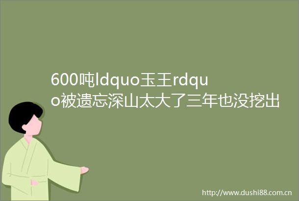 600吨ldquo玉王rdquo被遗忘深山太大了三年也没挖出来