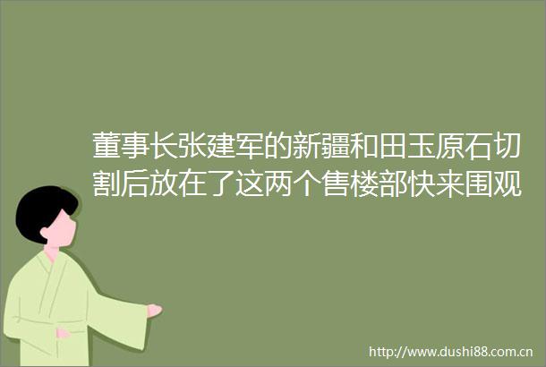 董事长张建军的新疆和田玉原石切割后放在了这两个售楼部快来围观鉴赏