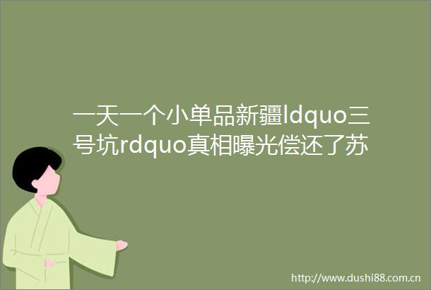 一天一个小单品新疆ldquo三号坑rdquo真相偿还了苏联一半国债