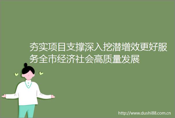 夯实项目支撑深入挖潜增效更好服务全市经济社会高质量发展
