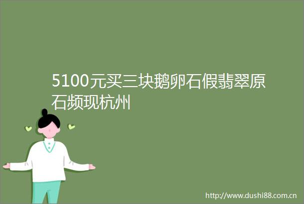 5100元买三块鹅卵石假翡翠原石频现杭州