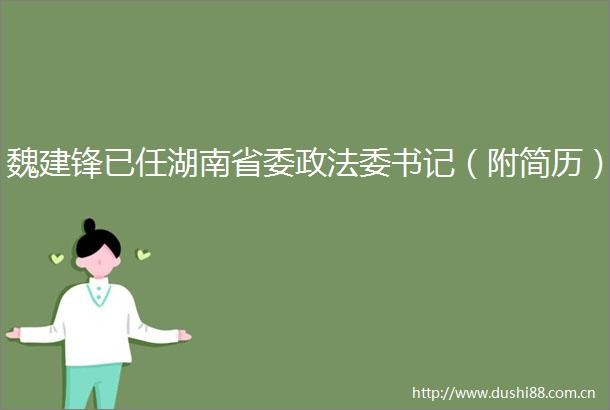 魏建锋已任湖南省委政法委书记（附简历）