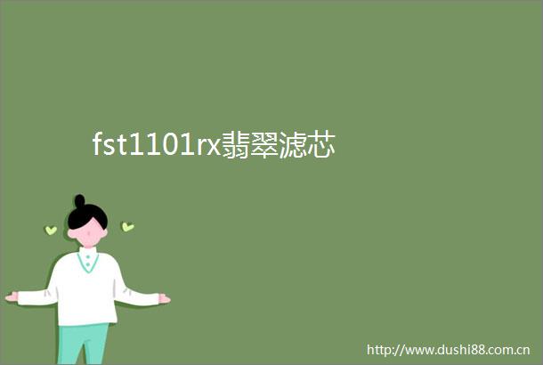 fst1101rx翡翠滤芯