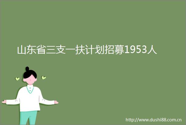 山东省三支一扶计划招募1953人