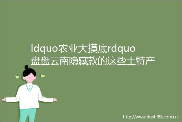 ldquo农业大摸底rdquo盘盘云南隐藏款的这些土特产