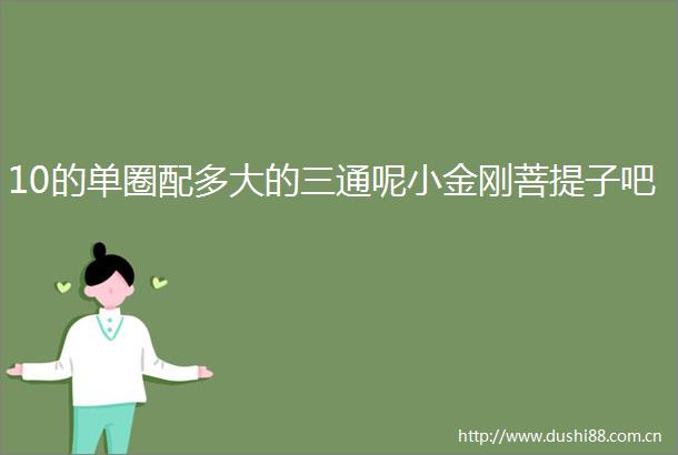 10的单圈配多大的三通呢小金刚菩提子吧