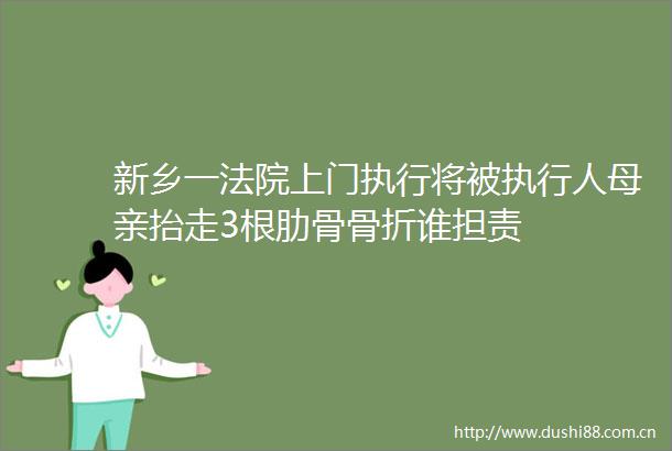 新乡一上门执行将被执行人母亲抬走3根肋骨骨折谁担责