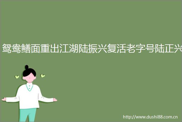 鸳鸯鳝面重出江湖陆振兴复活老字号陆正兴
