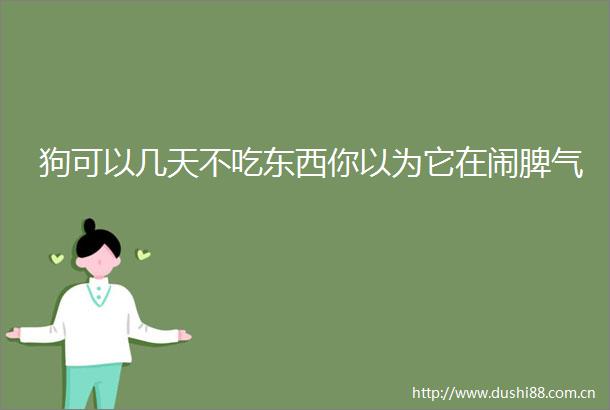 狗可以几天不吃东西你以为它在闹脾气
