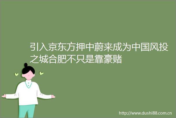 引入京东方押中蔚来成为风投之城合肥不只是靠豪赌