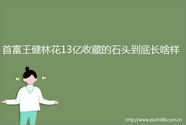 首富王健林花13亿收藏的石头到底长啥样