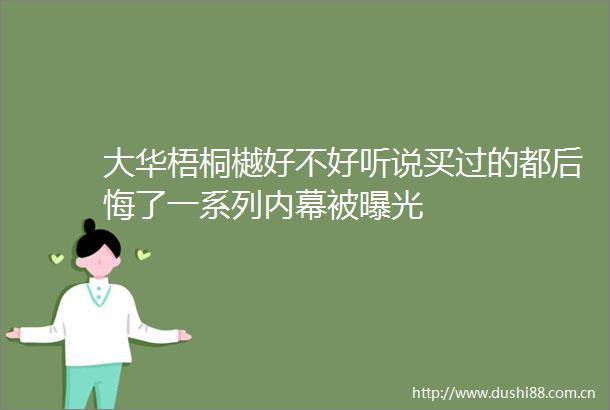 大华梧桐樾好不好听说买过的都后悔了一系列被