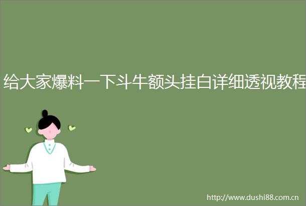 给大家爆料一下斗牛额头挂白详细透视教程