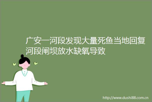 广安一河段发现大量死鱼当地回复河段闸坝放水缺氧导致