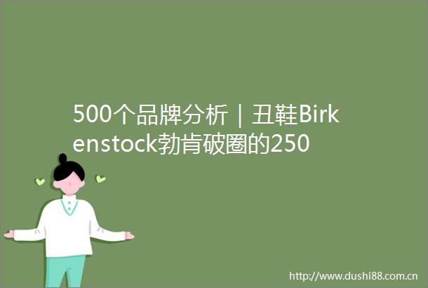 500个品牌分析｜丑鞋Birkenstock勃肯破圈的250年