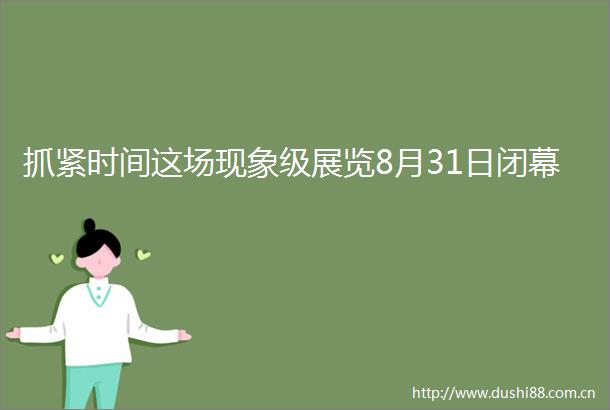 抓紧时间这场现象级展览8月31日闭幕
