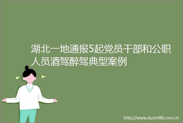 湖北一地通报5起党员和人员酒驾醉驾典型案例