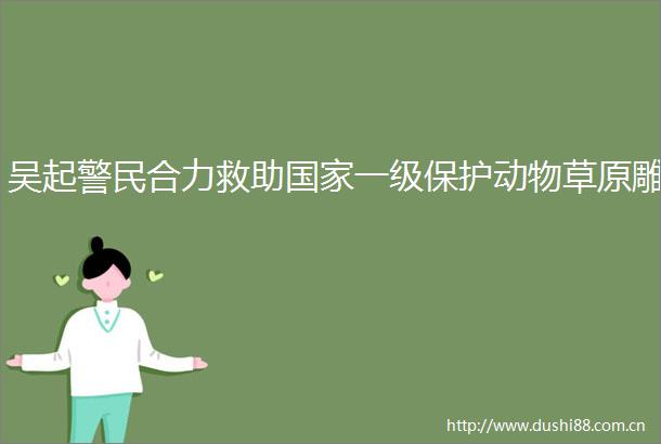 吴起警民合力救助一级保护动物草原雕