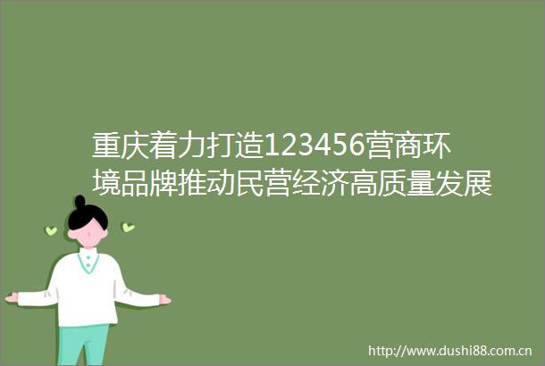重庆着力打造123456营商环境品牌推动民营经济高质量发展