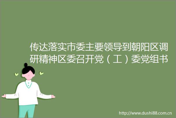 传达落实市委主要到朝阳区调研精神区委召开党（工）委党组书记月度工作点评会