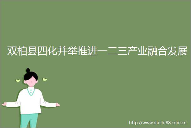 双柏县四化并举推进一二三产业融合发展