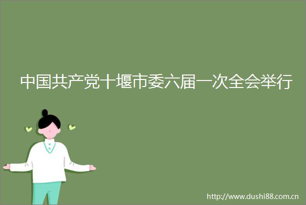 十堰市委六届一次全会举行