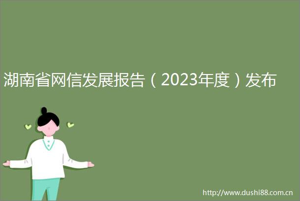 湖南省网信发展报告（2023年度）发布