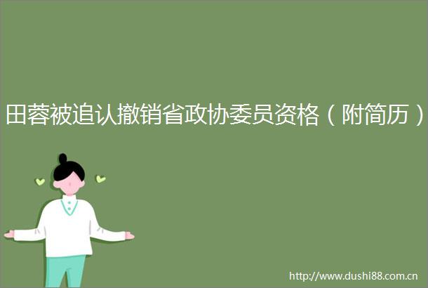 田蓉被追认撤销省政协委员资格（附简历）