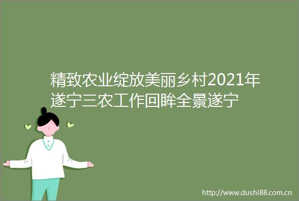 精致农业绽放美丽乡村2021年遂宁三农工作回眸全景遂宁