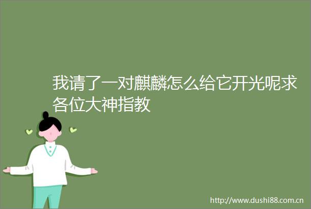 我请了一对麒麟怎么给它开光呢求各位大神指教